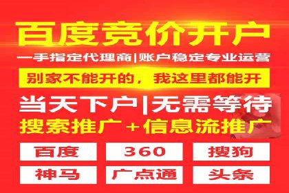 竞价推广实战：成功案例背后的技巧揭秘